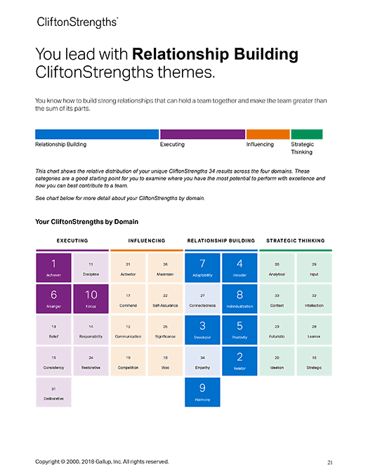 CliftonStrengths theme example